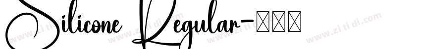 Silicone Regular字体转换
